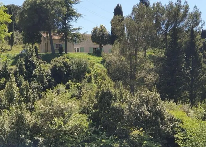 Domaine Saint Lucien